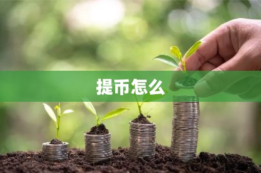 提币怎么