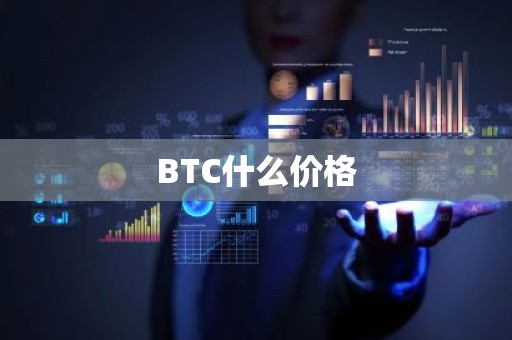 BTC什么价格