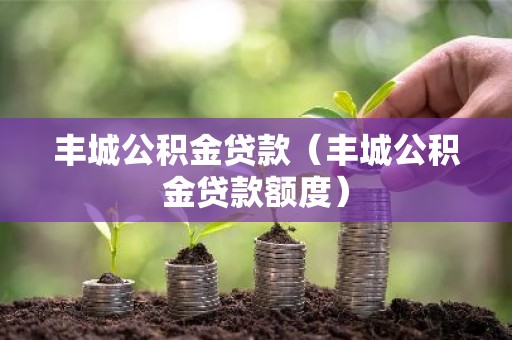 丰城公积金贷款（丰城公积金贷款额度）