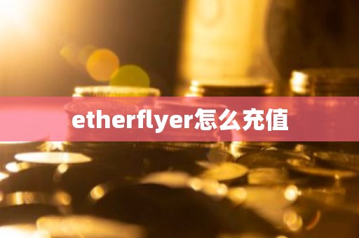 etherflyer怎么充值