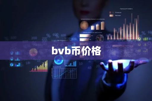 bvb币价格
