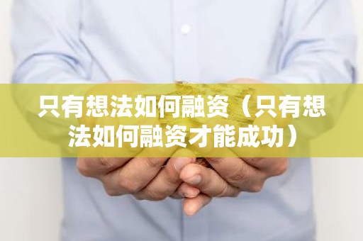 只有想法如何融资（只有想法如何融资才能成功）
