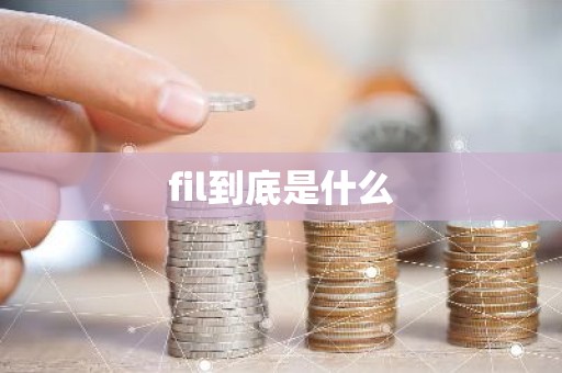 fil到底是什么