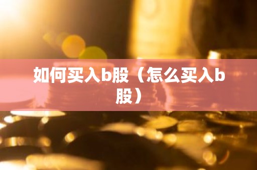 如何买入b股（怎么买入b股）