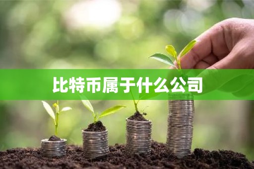 比特币属于什么公司