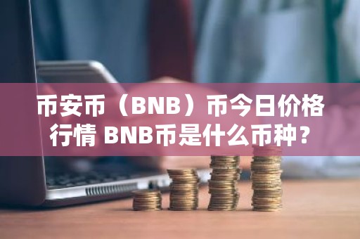 币安币（BNB）币今日价格行情 BNB币是什么币种？