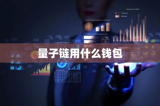 量子链用什么钱包