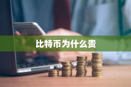 比特币为什么贵