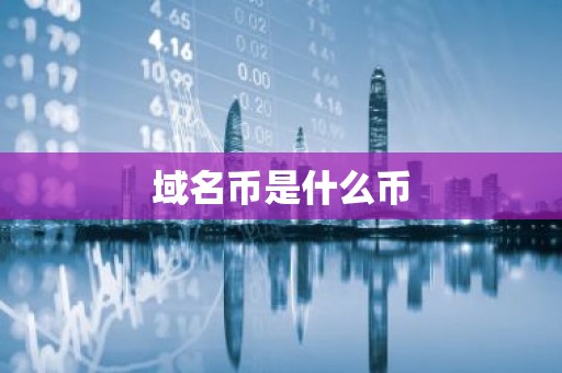 域名币是什么币