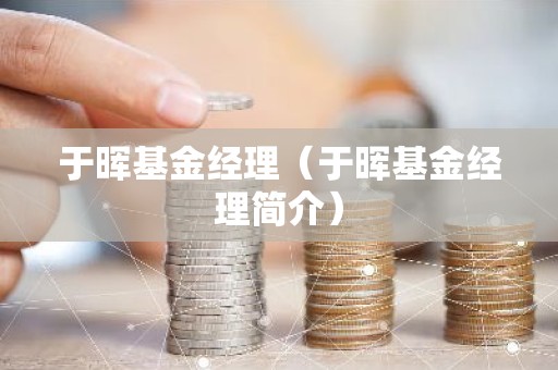 于晖基金经理（于晖基金经理简介）