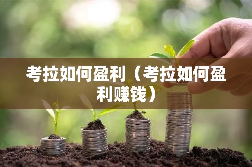 考拉如何盈利（考拉如何盈利赚钱）