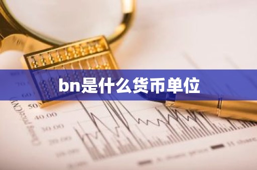 bn是什么货币单位