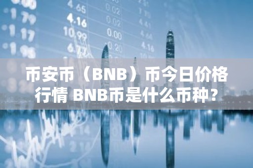 币安币（BNB）币今日价格行情 BNB币是什么币种？