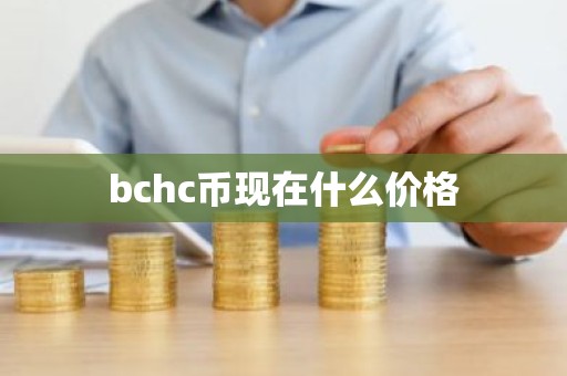 bchc币现在什么价格
