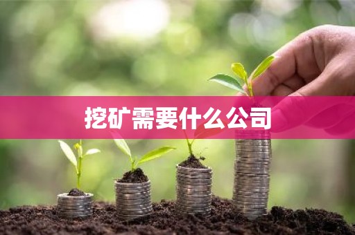 挖矿需要什么公司