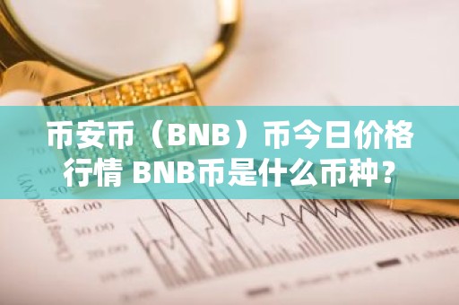 币安币（BNB）币今日价格行情 BNB币是什么币种？