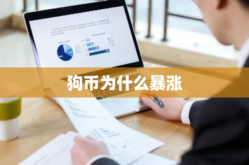 狗币为什么暴涨
