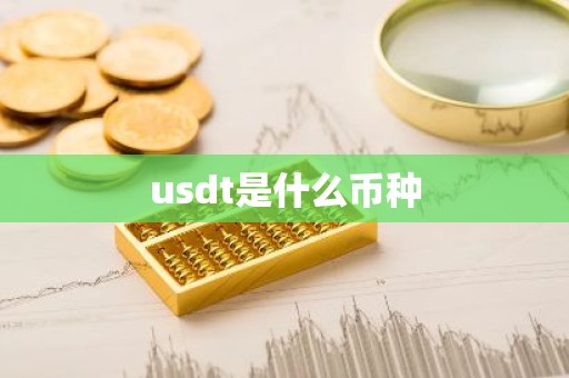 usdt是什么币种
