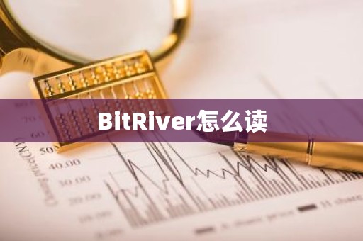BitRiver怎么读
