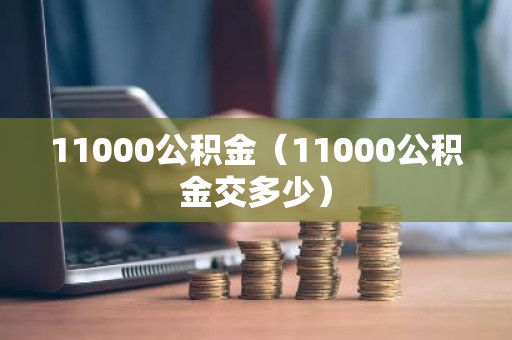 11000公积金（11000公积金交多少）