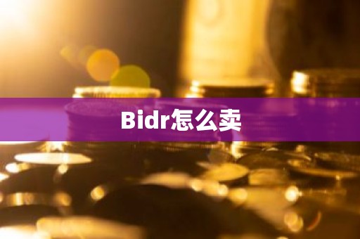 Bidr怎么卖