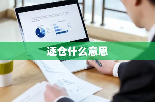 逐仓什么意思