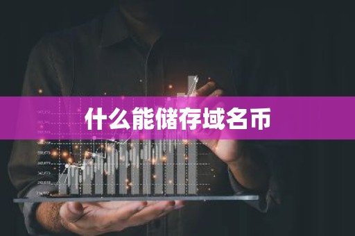 什么能储存域名币