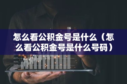 怎么看公积金号是什么（怎么看公积金号是什么号码）