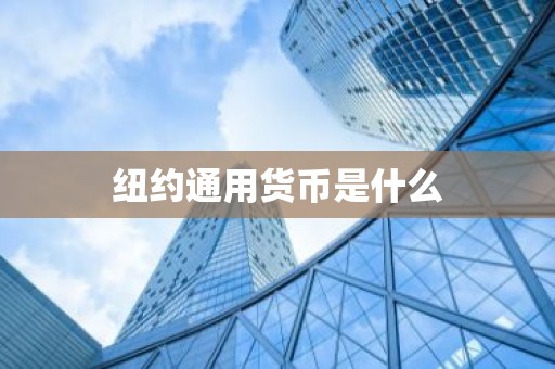 纽约通用货币是什么