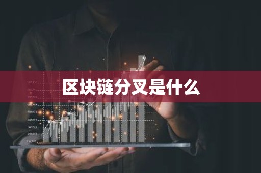区块链分叉是什么