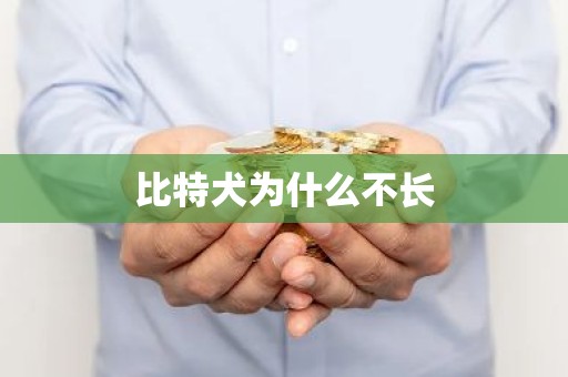 比特犬为什么不长