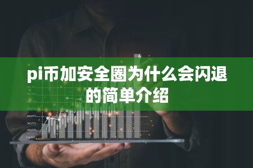pi币加安全圈为什么会闪退的简单介绍