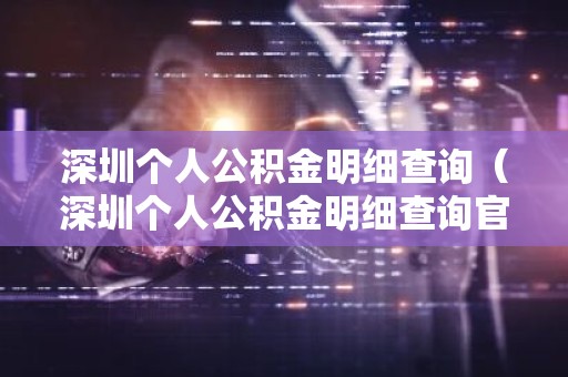 深圳个人公积金明细查询（深圳个人公积金明细查询官网）
