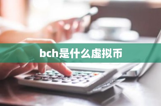 bch是什么虚拟币