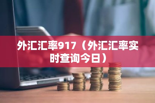 外汇汇率917（外汇汇率实时查询今日）