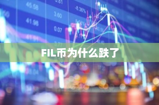 FIL币为什么跌了