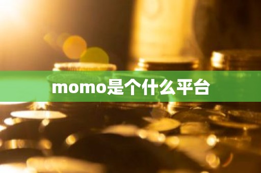 momo是个什么平台