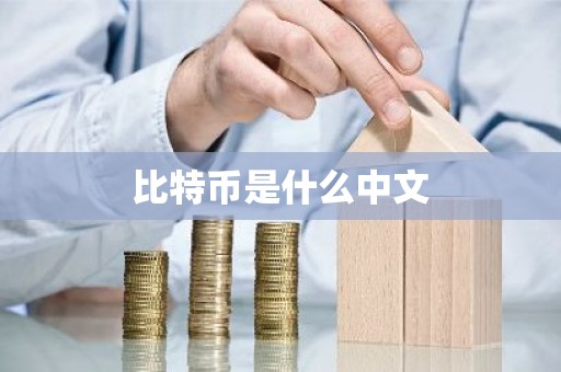 比特币是什么中文