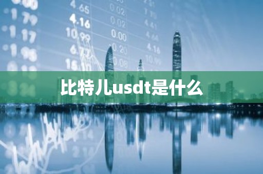 比特儿usdt是什么