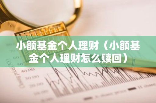 小额基金个人理财（小额基金个人理财怎么赎回）