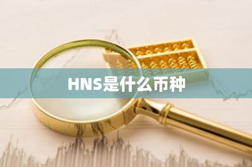 HNS是什么币种