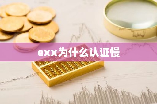 exx为什么认证慢