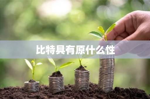 比特具有原什么性