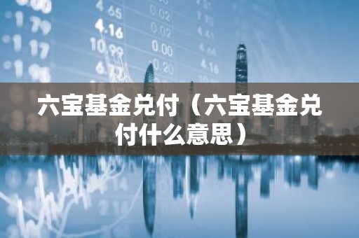 六宝基金兑付（六宝基金兑付什么意思）