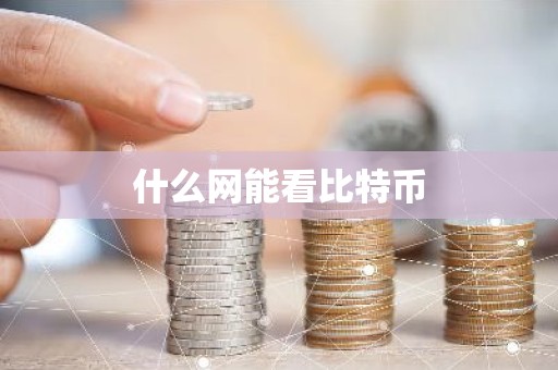 什么网能看比特币
