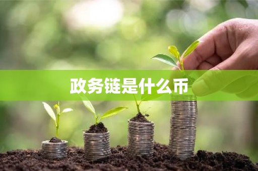 政务链是什么币