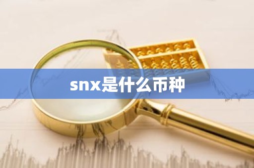 snx是什么币种