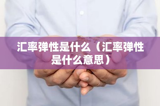 汇率弹性是什么（汇率弹性是什么意思）