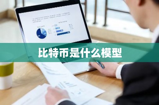 比特币是什么模型