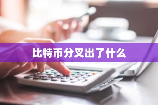 比特币分叉出了什么